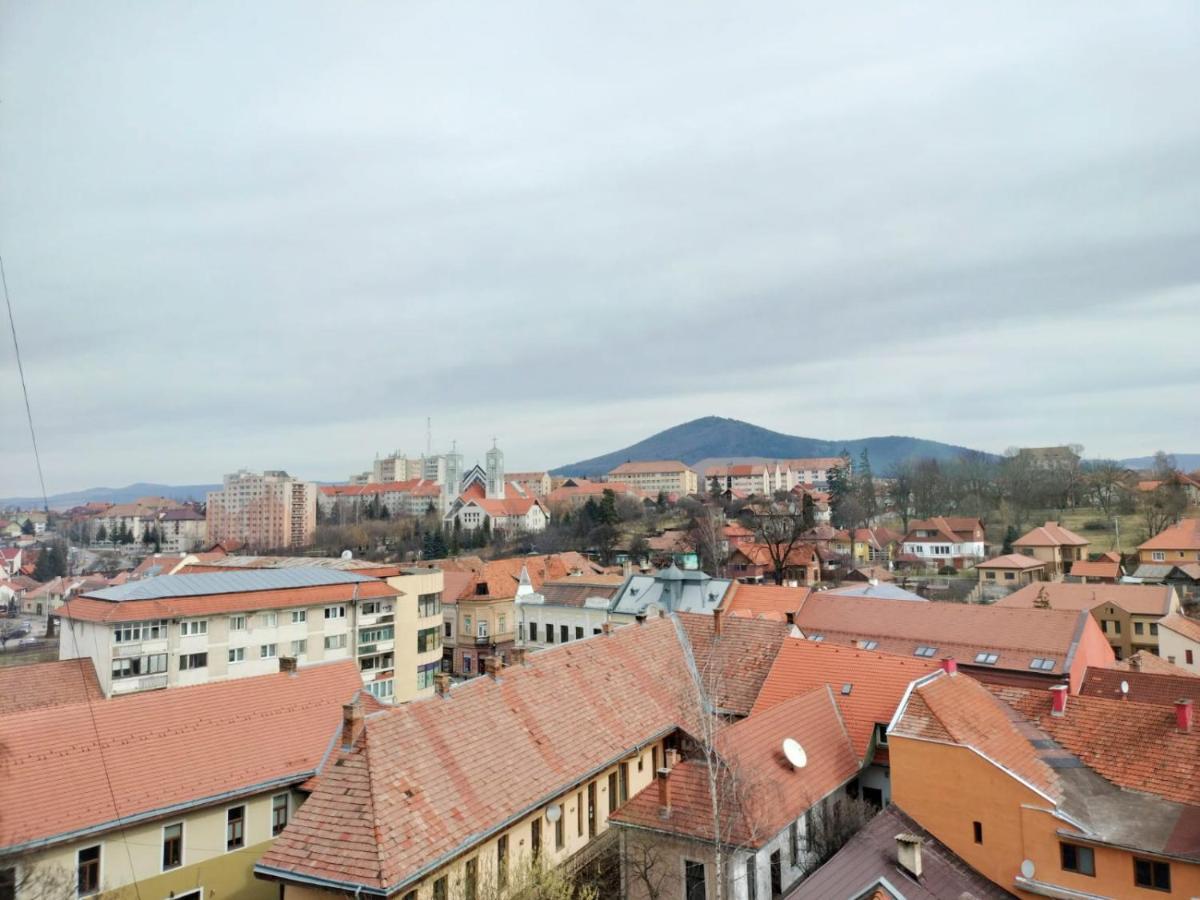 Ferienwohnung Nexus Center Miercurea Ciuc Exterior foto